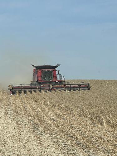 Ryan Vos last day of soybean harvest