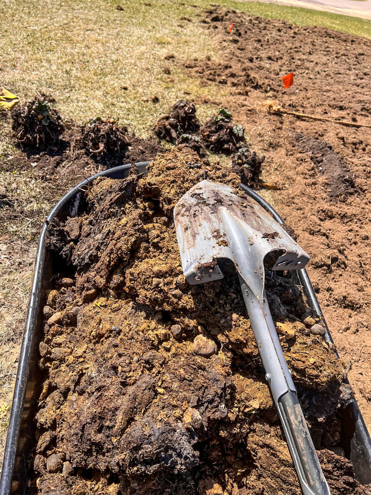 Compost