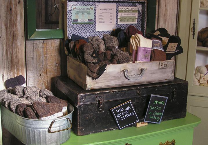 Socks for sale