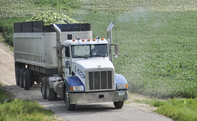 Sweet corn load in semi