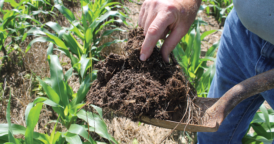 Soil sampling project to track residual nitrogen