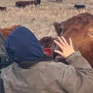 Isabella feeding treats