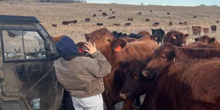 Isabella feeding treats