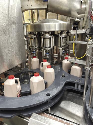 Lactose free milk (15) - worked.jpg