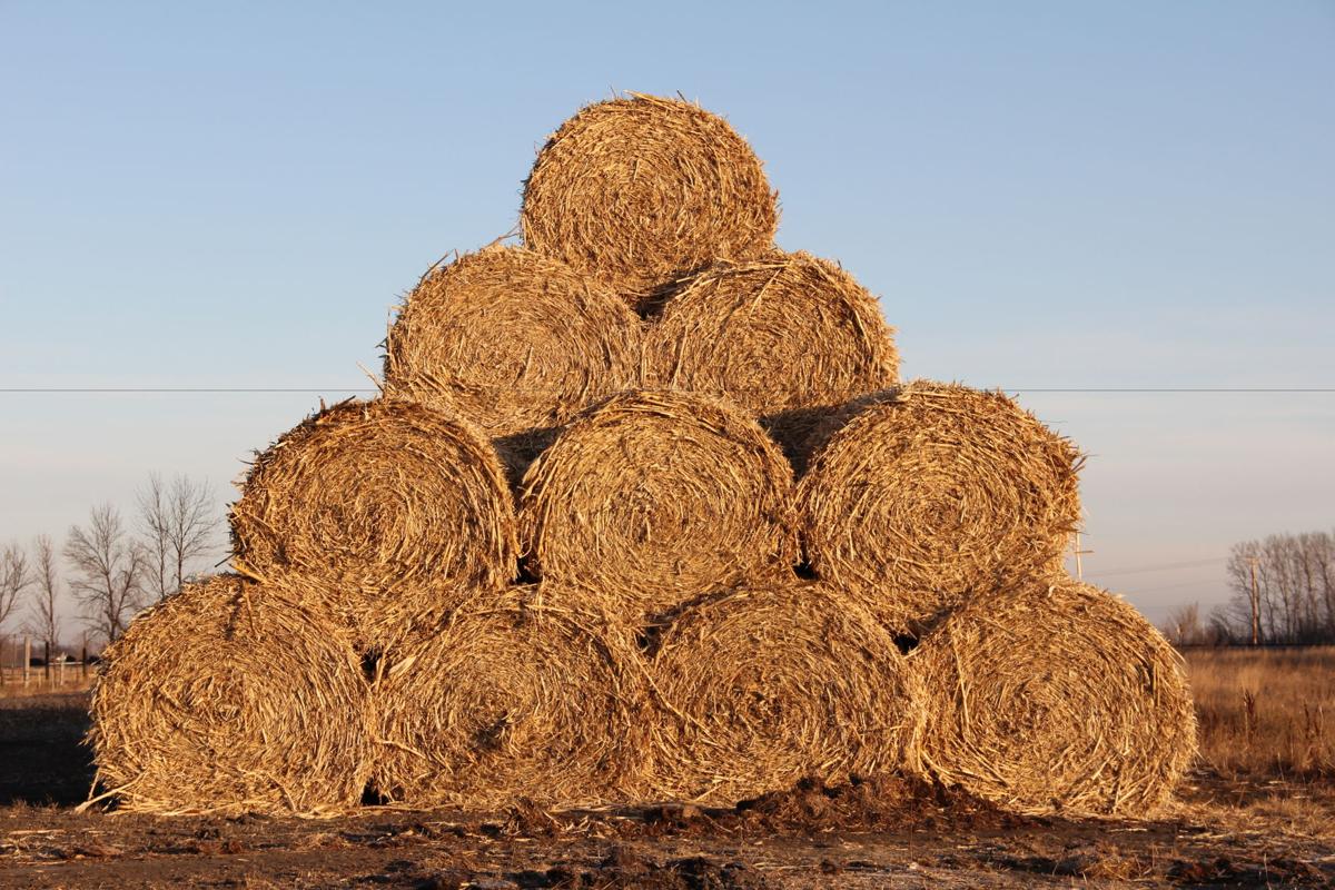 NDSU FeedList