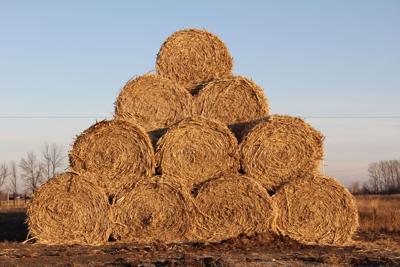 NDSU FeedList