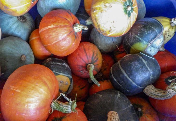 Squash