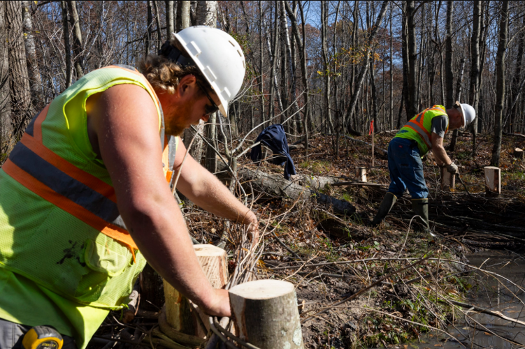 Workers working on dams