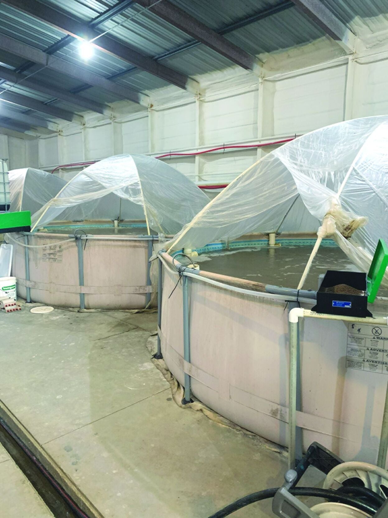 Shrimp farming (10) - worked.tif