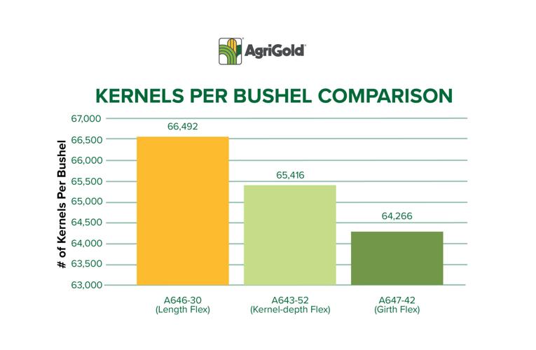 Kernel count study sheds light on smart management tactics