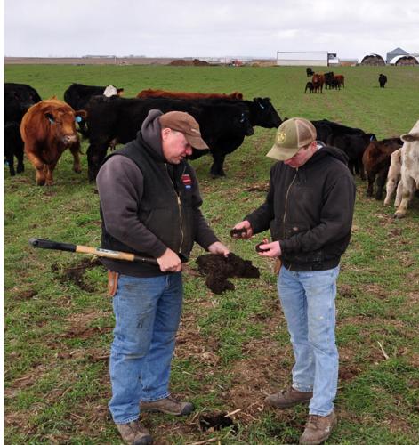 Producers in field with beef cattle farmers