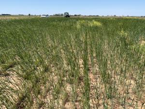 060426-agrv-subm-sullivan-1.jpg