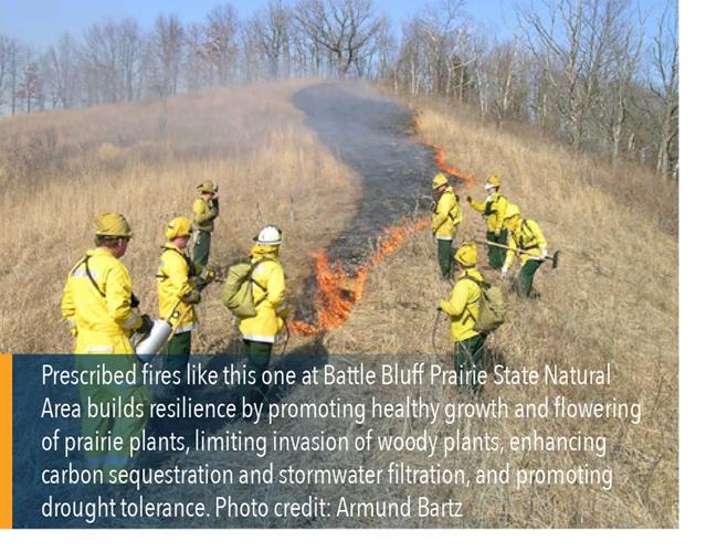Prescribed fire