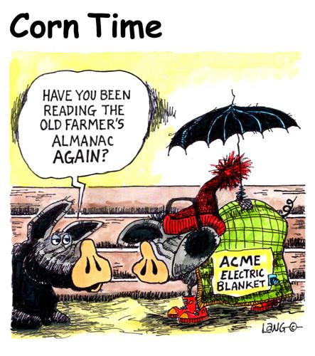 Corn Time by Bob Lang
