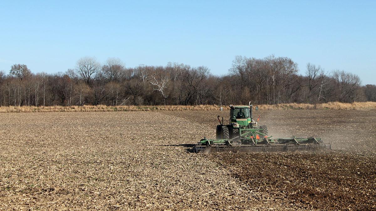 Fall fieldwork