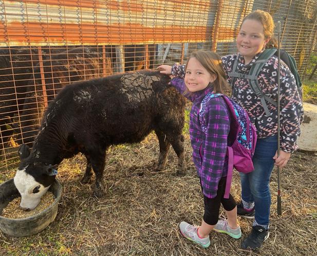 Abigail and Elisabeth Wright help feed cattle