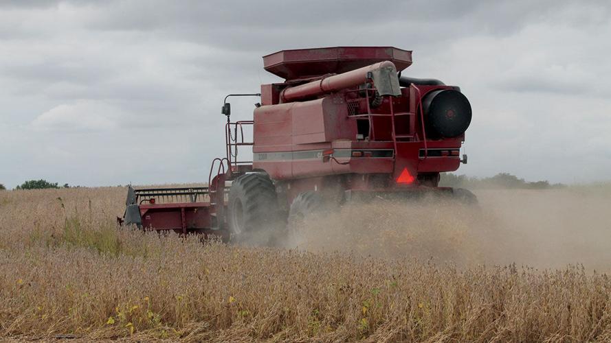 North Central Missouri farmer Mike Mauzey