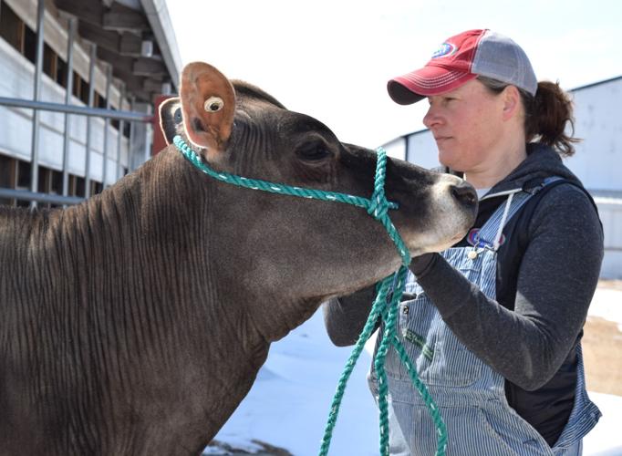 Kelli Cull and Jersey heifer