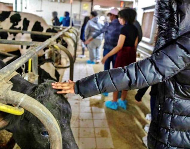 Students at dairy center
