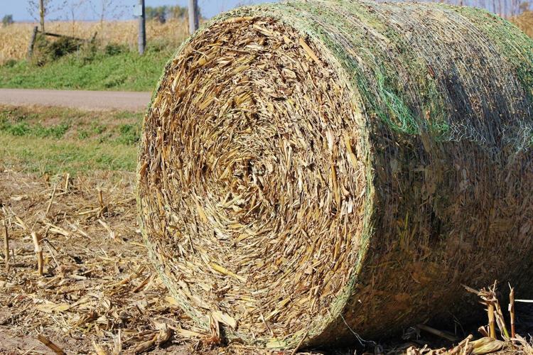Hay bale (copy)