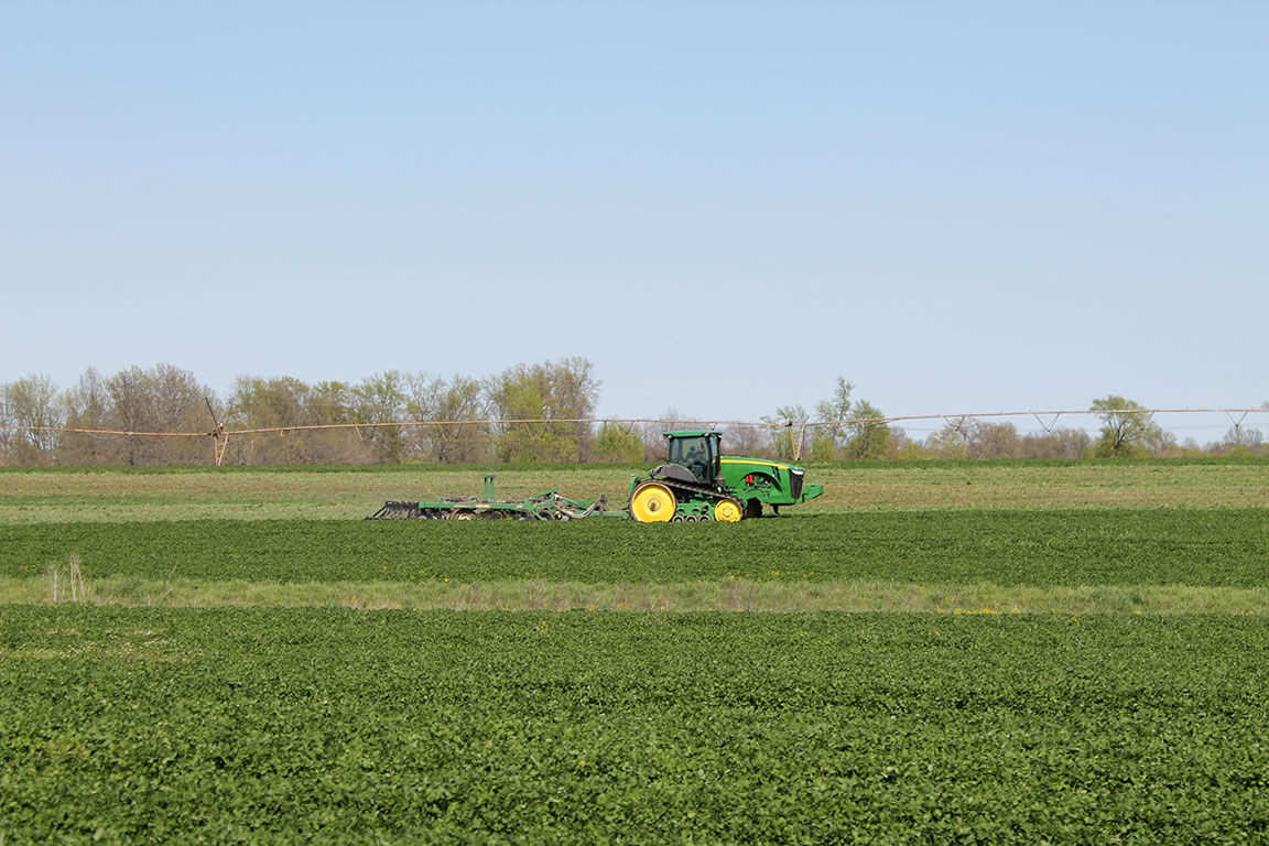 Farmer terminates cover crops in Missouri