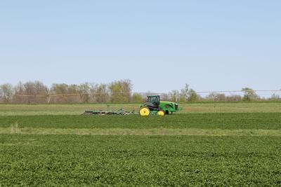 Farmer terminates cover crops in Missouri