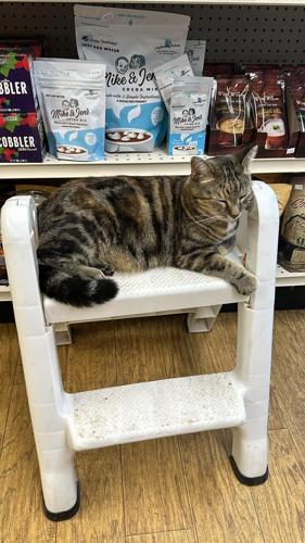 local business 2.jpg