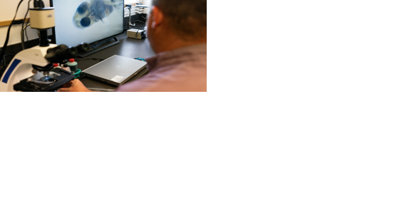 Critical need for pond, aquaculture diagnostics filled