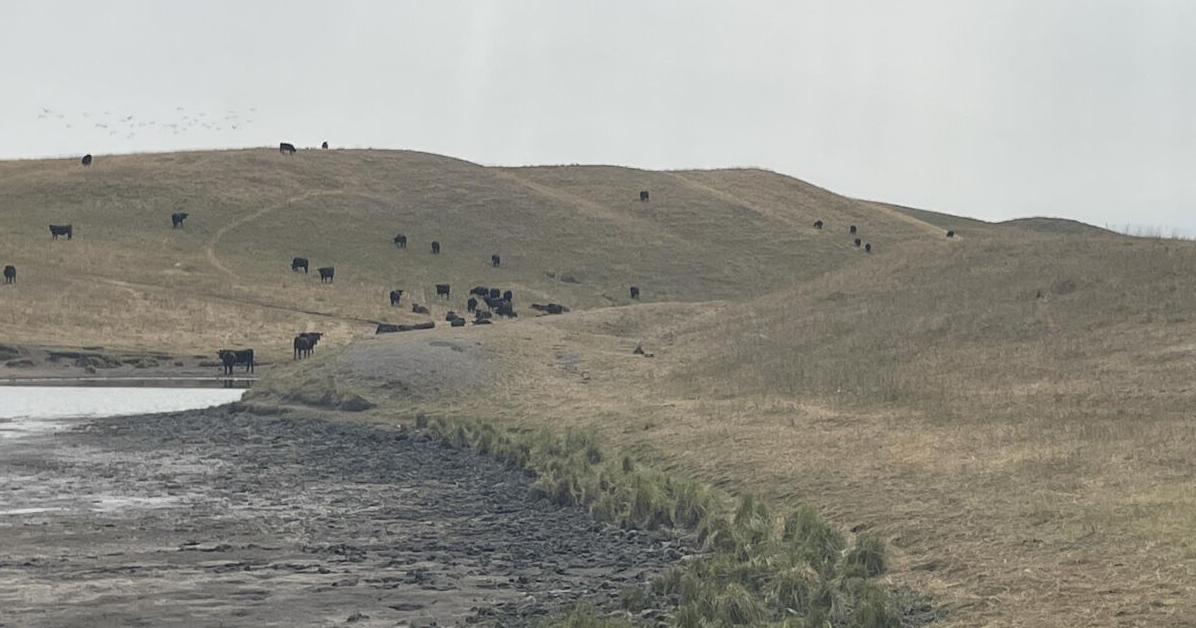 North Dakota drought