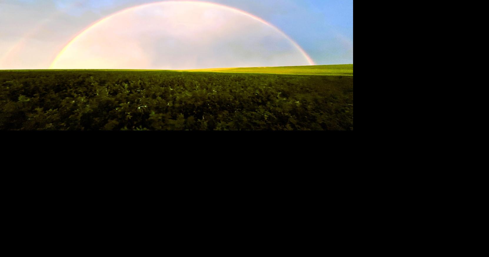 Autumn expected to be mild, drier than normal for Central Plains