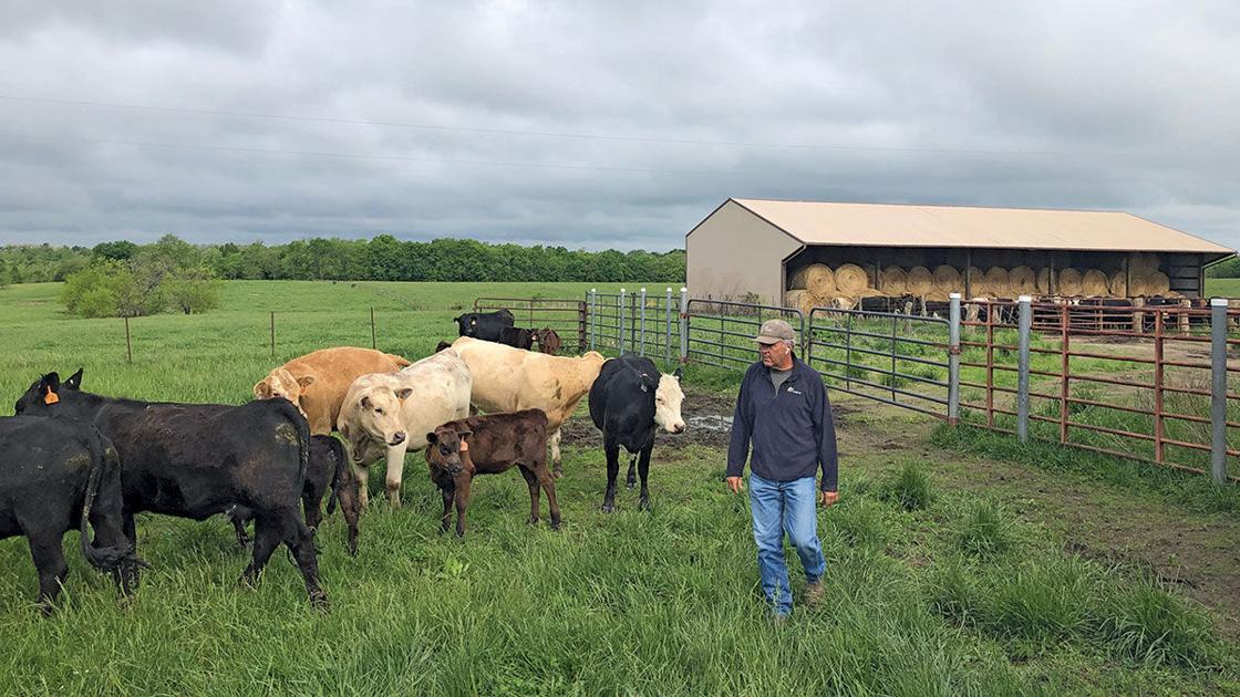 Cattle producer has lifelong love for industry Livestock