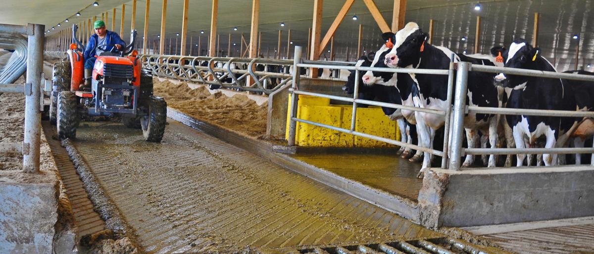 Dairy family plans for future Business
