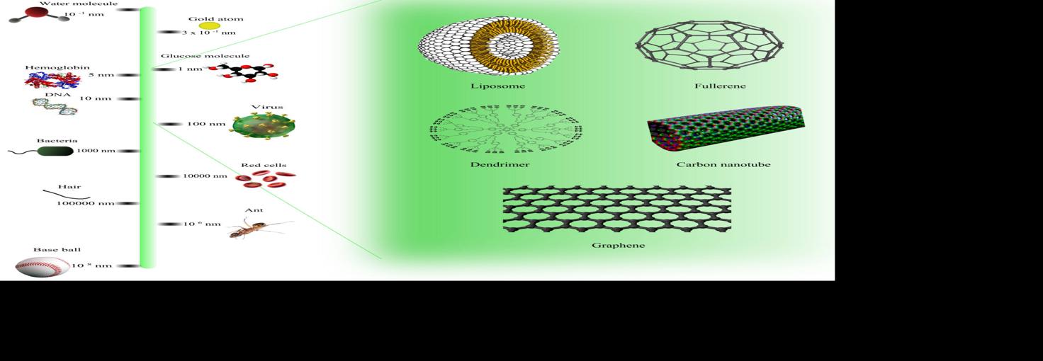 Comparison of nanomaterials sizes