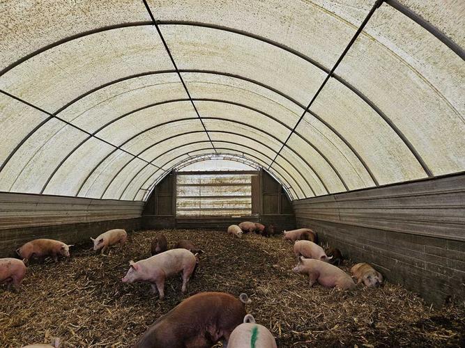 inside a hoop building