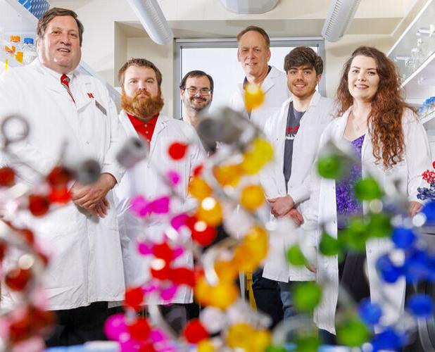 Swine influenza researchers at University of Nebraska-Lincoln