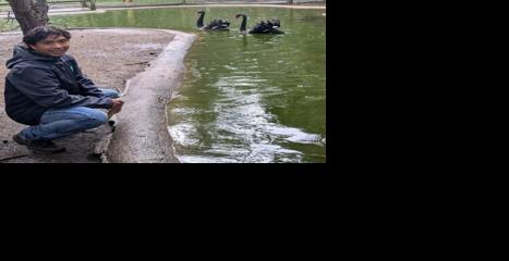 4-H alumni with livestock projects make their mark