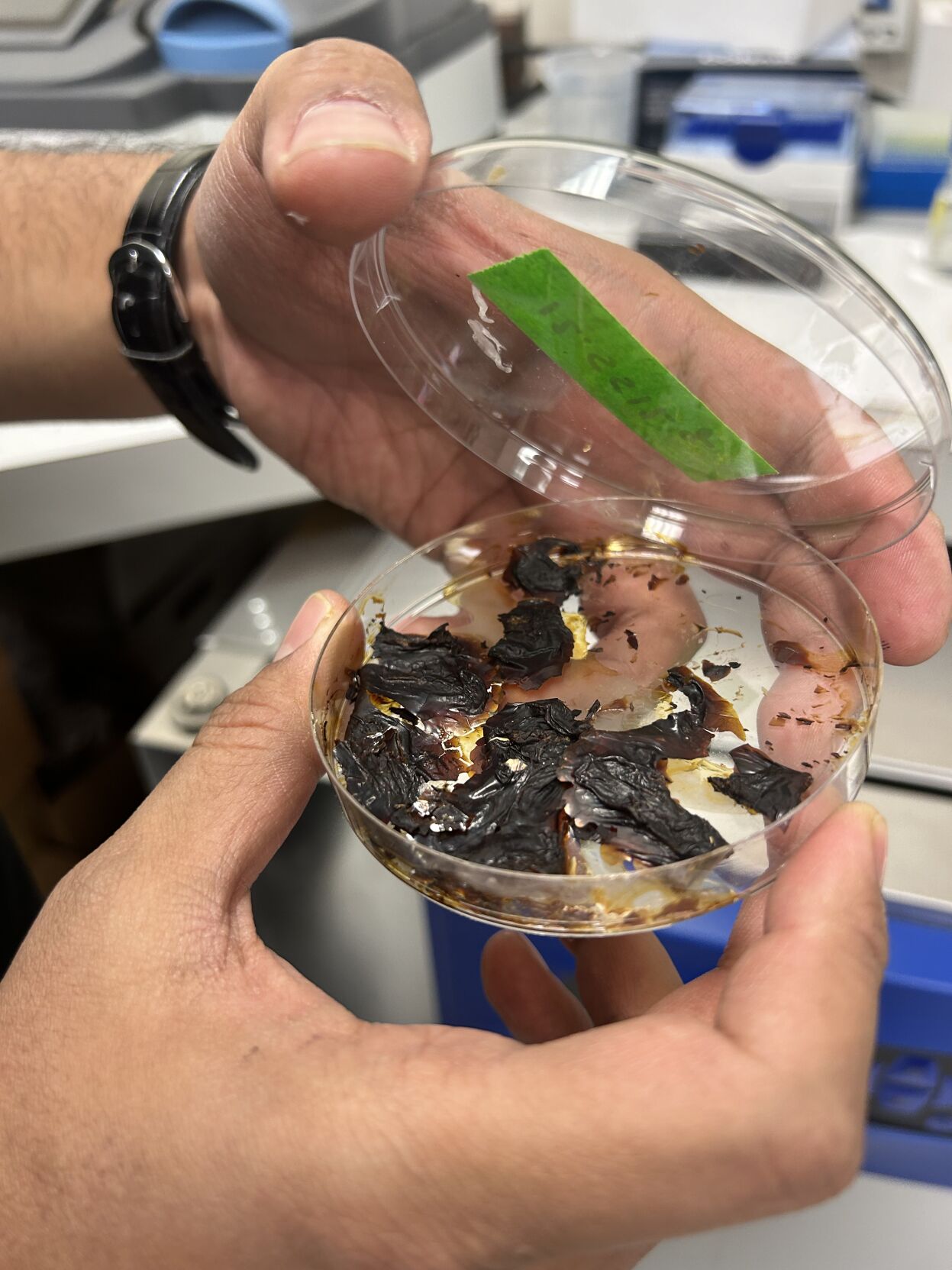 Grain plastics (2).jpg