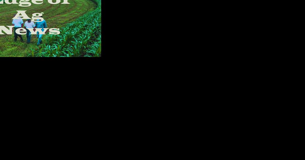 Edge of Ag News - Vimarsana News