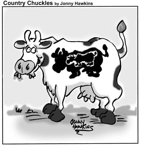 Country Chuckles by Jonny Hawkins