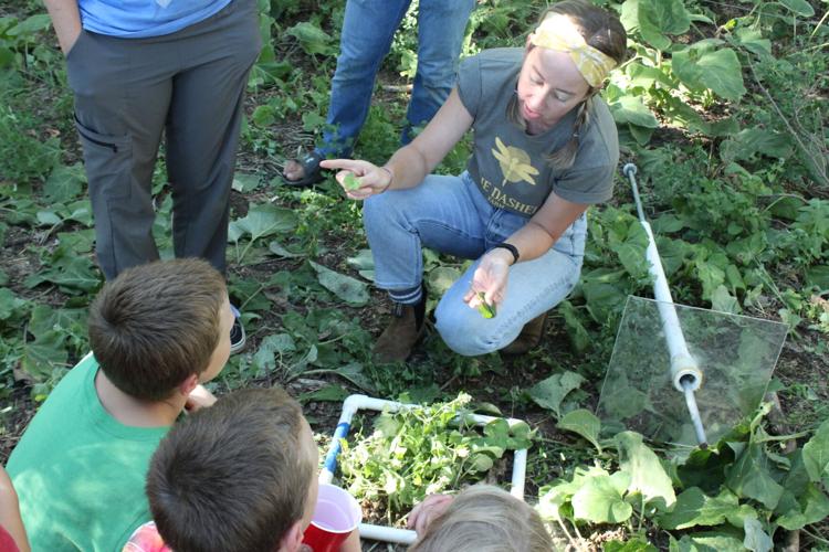 Blue Dasher field day (175).JPG
