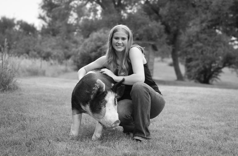 York County 4-H 1.jpg