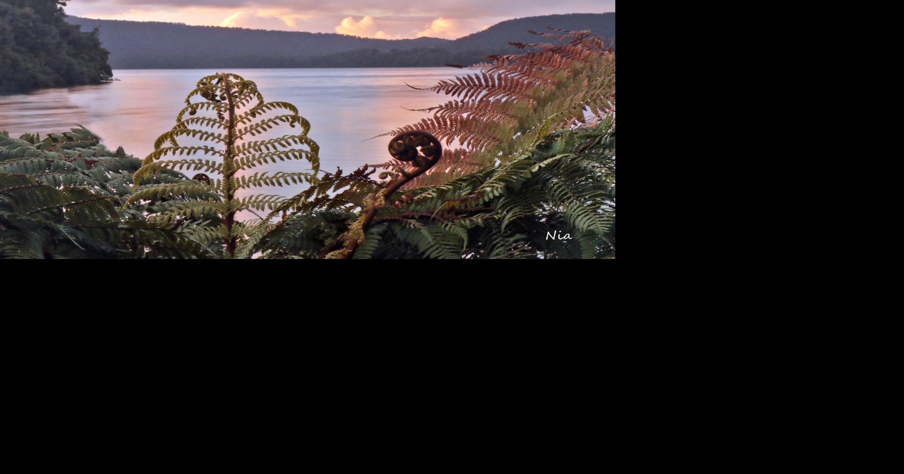 Professional photographer captures unique perspective in life