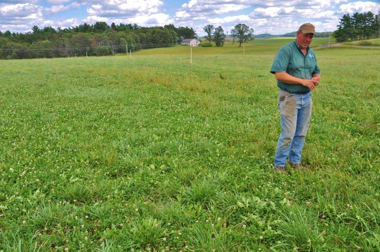 Nathan Kling surveys field