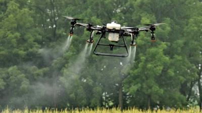 drone usage to spray fungicide