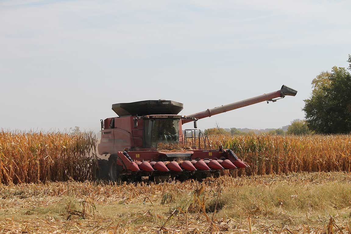 corn harvest near Center Point, Iowa