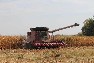 corn harvest near Center Point, Iowa