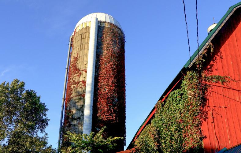 Silo