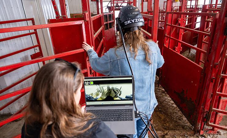 Humane Handling Institute - VR goggles