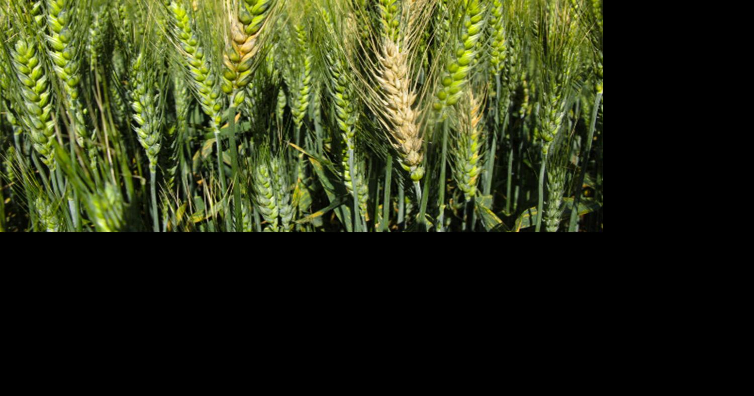 Beware changes in disease risk