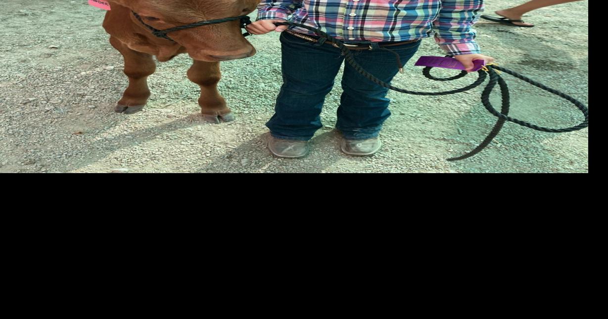 Bucket calf program brings smiles, ribbons